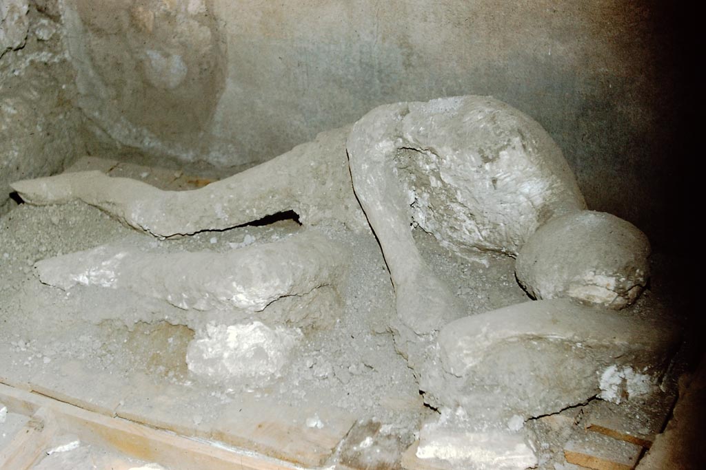 I.8.17 Pompeii. 1959. Plaster cast of Calco G. Photo by Stanley A. Jashemski.
The Jashemski record says that this photo was taken in I.8.17 in 1959, but this victim most probably did not come from this house.
Source: The Wilhelmina and Stanley A. Jashemski archive in the University of Maryland Library, Special Collections (See collection page) and made available under the Creative Commons Attribution-Non Commercial License v.4. See Licence and use details.
J59f0326  
Of Calco G there are only photographs.
There is no record of the find date or location.
As the Jashemski photo is dated 1959 it is too early to be from the Garden of the Fugitives which was excavated in 1961.
There is therefore the remote hypothesis that - as for casts 84 and 85 - the cast is the third found in 1902, during the excavation of a taberna (V.3.2), which turned out to be an almost complete cast (although considered unclear). In this case the cast would have been brought to the casa dei Quattro Stili following the excavation of the latter (1937-38).
See Osanna, N., Capurso, A., e Masseroli, S. M., 2021. I Calchi di Pompei da Giuseppe Fiorelli ad oggi: Studi e Ricerche del PAP 46, p. 555, Calco G.
Paribeni in NdS 1902, records: In fact, on the following 10th June only the cast of an arm with the upper part of the chest and the head emerged from a skeleton; of another, a portion of the trunk, and of a third, the almost complete cast. All these casts, however, due to the void being occupied in many places by lapilli, were very unclear and such that no value could be attributed to them.
See Notizie degli Scavi di Antichità, 1902, p. 379.
