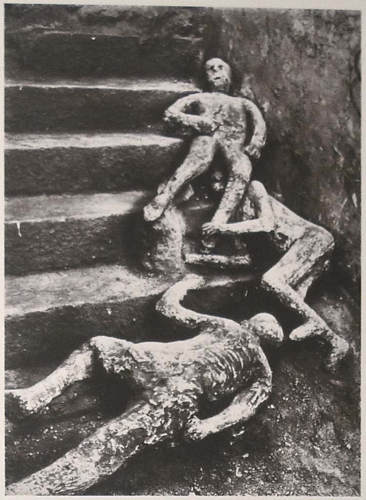 VII.16.17-22 Pompeii. 1961. Casts of three victims at the base of the stairs as shown on Boscoreale Antiquarium information board.
Victim 48 is at the top, Calco H is below and victim 49 is at the bottom.
Photo courtesy of Michael Binns.
According to Carlo Giordano, the cast was the most successful and dramatic of the three found on the staircase of the house.
The cast was stolen from the Casa di Marco Fabio Rufo on the night between 28 and 29 August 1966.
If the cast is to be identified with cast 84, after 1966 it had to have been found and taken to the Casa dei Quattro Stili.
It is possible that this cast can be identified with n. 84, which represents only a surviving part. 
The similarity with Cast H is found in the poor anatomical accuracy (like nos. 48-49), in the posture of legs and arms bent and extended forward, and could be deduced from the poor outcome of the face of cast no. 84, in particular the unformed left half and which, in this case, would have had the calf of victim no. 48 resting on it.
See Osanna, N., Capurso, A., e Masseroli, S. M., 2021. I Calchi di Pompei da Giuseppe Fiorelli ad oggi: Studi e Ricerche del PAP 46, p. 556-7, Calco H.

