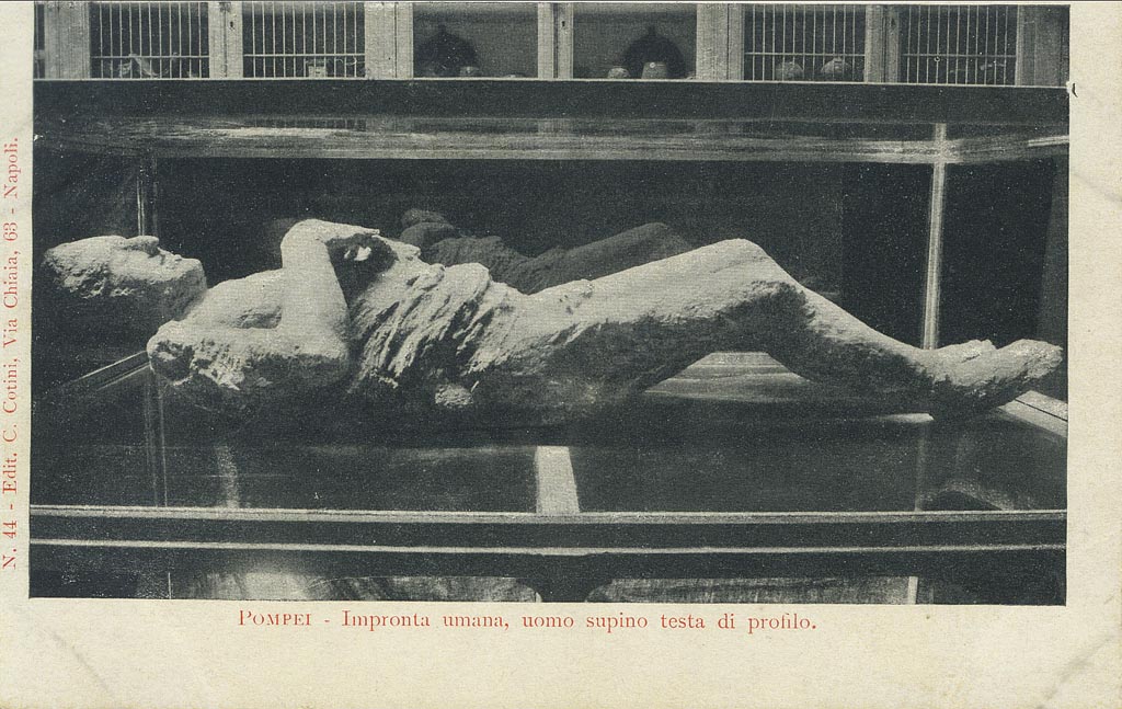 Pompeii Victim 13 found outside the Stabian Gate.
Old undated postcard by Cotini, no. 44, showing human plaster cast made on 11th October 1889, and on display in the Antiquarium in this photo.
Photo courtesy of Rick Bauer.
