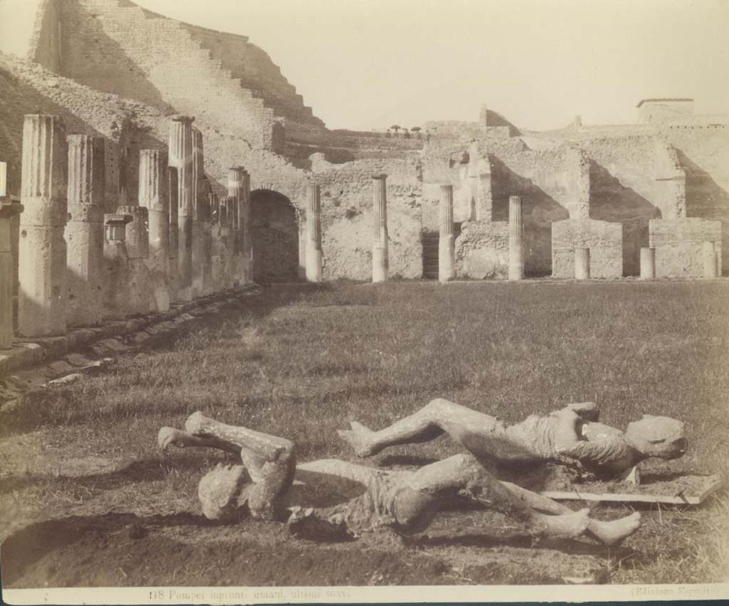 Victims numbered 13 and 14, photographed in the Gladiator’s Barracks, looking north towards the Large Theatre.
Photo by Esposito, number 118. On the left, victim numbered 14. On the right, victim numbered 13.
Photo courtesy of Eugene Dwyer.

