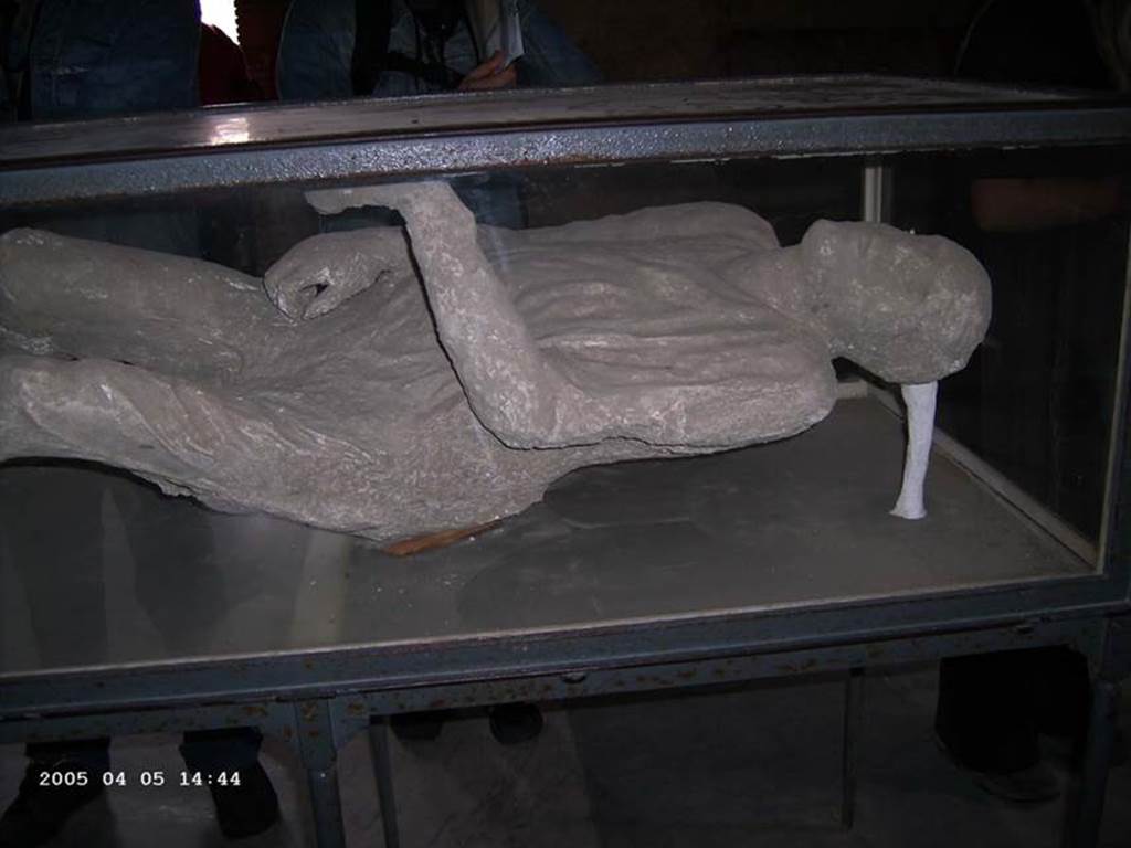 VII.1.8 Pompeii. April 2005. Plaster cast of victim 15, on display in men’s changing room 2. 
Photo courtesy of Klaus Heese.

 

