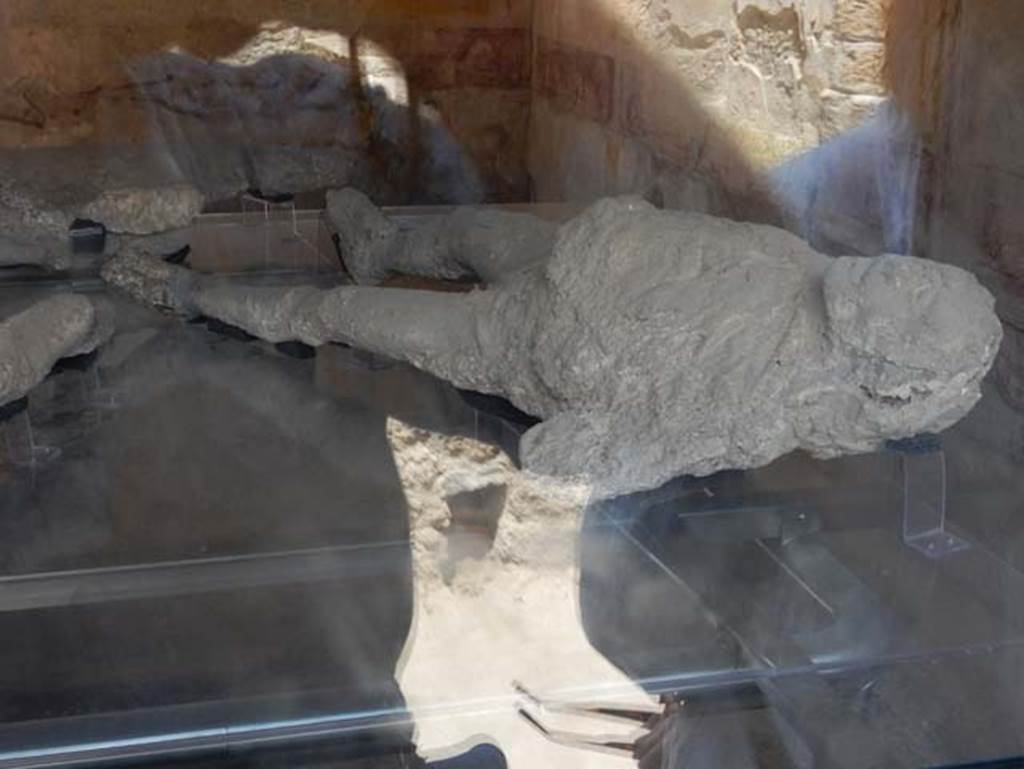 VII.1.47 Pompeii. May 2017. Victim 1.
Plaster cast of large, strong male on display in triclinium 8 but found in the Vicolo degli Scheletri. 
Photo courtesy of Buzz Ferebee.

