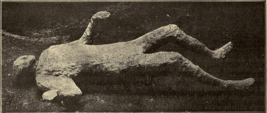 I.6.2 Pompeii. May 1915. Victim number 24. Body cast made in the vicolo between I.6 and I.10. 
See Notizie degli Scavi di Antichità, 1915, p. 288, fig. 4.
