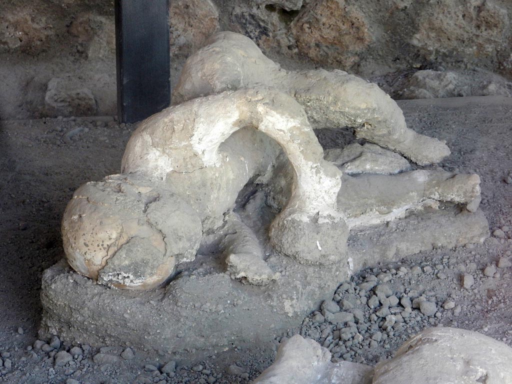 Victim 36. I.21.6 Pompeii. May 2015. Detail of plaster cast of victim 36. Photo courtesy of Buzz Ferebee.