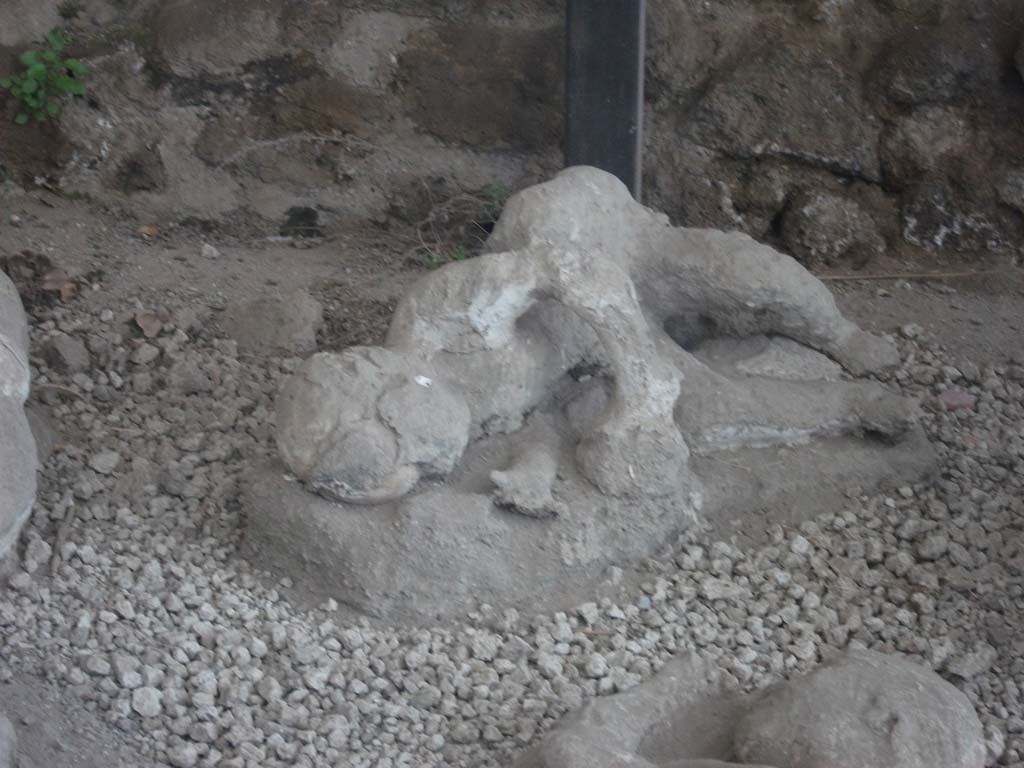 I.21.6 Pompeii. May 2010. Detail of front of plaster cast of victim 36.