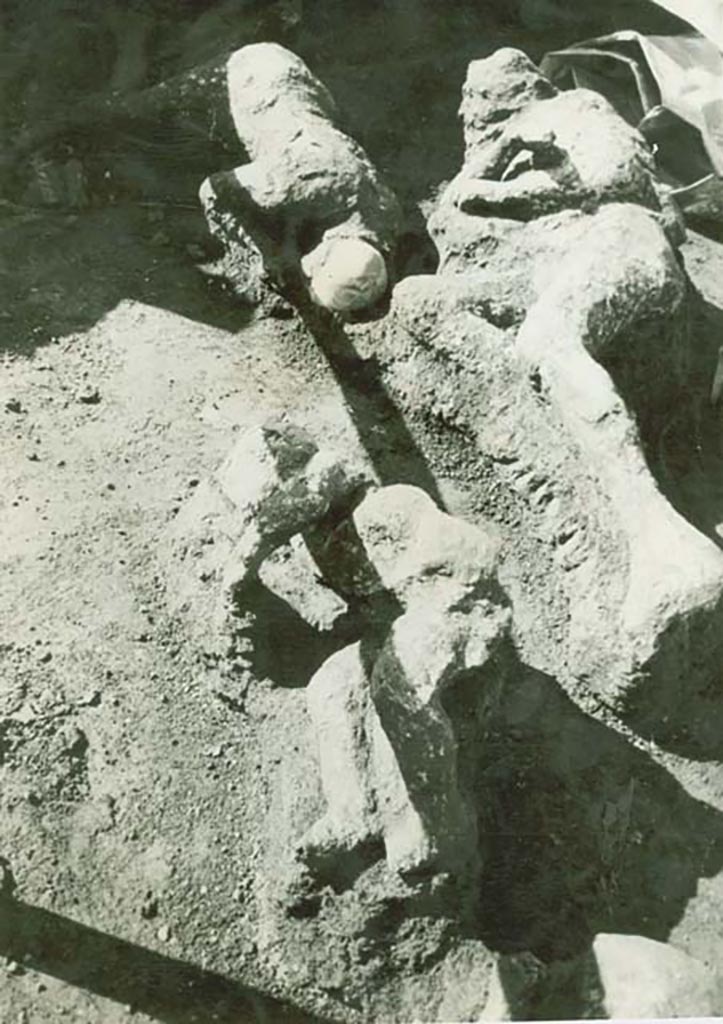 I.21.5, Pompeii. 1961. Plaster-casts of fugitives recently found. Victim 39, right, victim 36, front, and victim 35 at left rear.
A newspaper report at the time reported the finding of eight bodies.
Two families were reported, supposedly of market gardeners, with one family found nearby the other.
One family was made up of the parents and two children, preceded by a man carrying a sack on his shoulders.
The second family consisted of a man also carrying a sack, a woman and child.
The three in this photo were reported as being from the family of five.
The mother was said to be on the right, the father to the left and the child in the foreground.
Photo courtesy of Rick Bauer.
