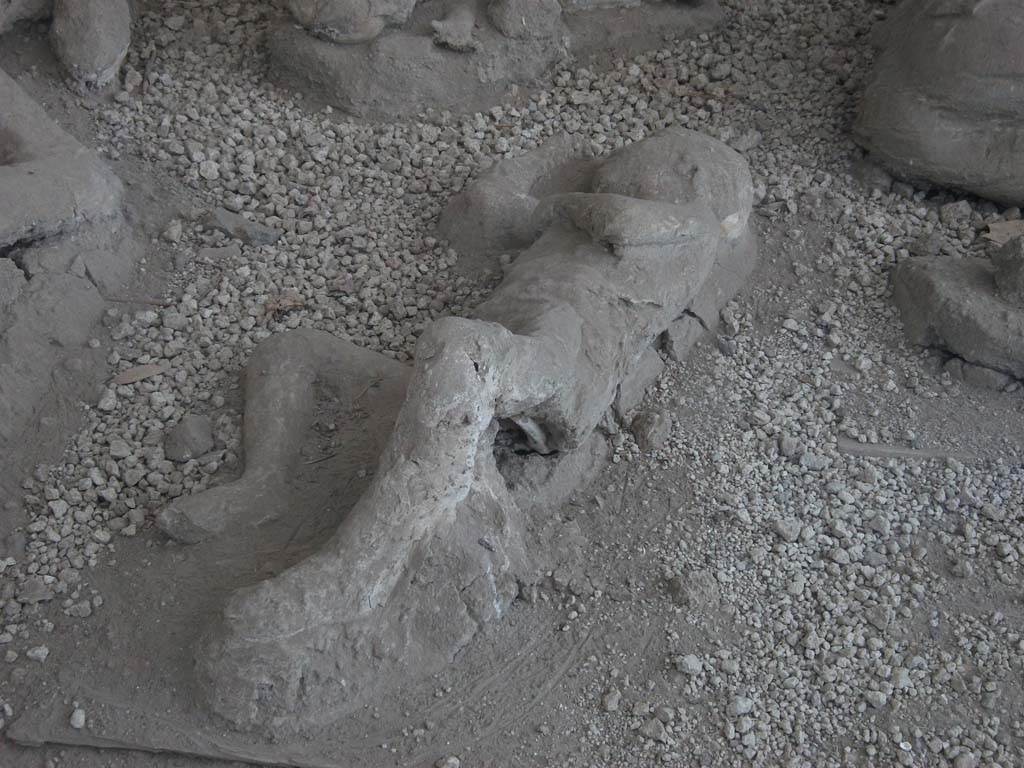 I.21.6 Pompeii. May 2010. Victim 37. Detail of a plaster cast of impression of the body.