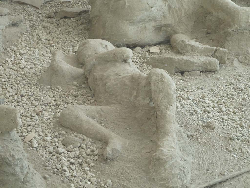 I.21.6 Pompeii. May 2010. Detail of a plaster cast of victim 37.