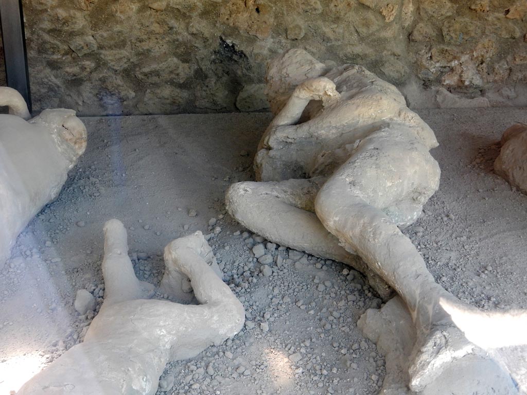 I.21.6 Pompeii. May 2016. Detail of plaster casts of the impression of bodies. Victim 39. Photo courtesy of Buzz Ferebee.
Victim 39 was male over 20 years of age.
Small traces of drapery can be seen on the chin, left shoulder and abdomen.
Victim 39 was found between the 17th and 22nd of April at about 17.9m from the southern wall and approximately 1m from the eastern wall.
The body was found next to victim 35 but oriented in the opposite way.
Near his feet were found victims 36 and 37.
See Osanna, N., Capurso, A., e Masseroli, S. M., 2021. I Calchi di Pompei da Giuseppe Fiorelli ad oggi: Studi e Ricerche del PAP 46, p. 413-415, Calco n. 39.

