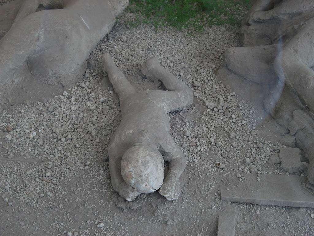I.21.6 Pompeii. May 2010. Detail of a plaster cast of impression of a body. Victim 40.