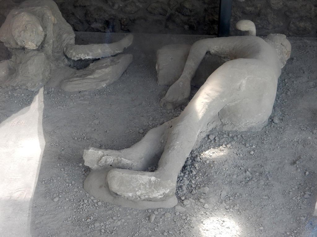 I.21.6 Pompeii. May 2015. Detail of plaster cast of the impression of a body. Victim 41. Photo courtesy of Buzz Ferebee.
Victim 41 is a female aged 20 years or over.
The body was found on 27th April 1961, located about 3m, towards the north-east, from the group with victim 39. 
Maiuri had originally imagined it was the father of the group containing victims 40 and 42. It is now identified as a female.
See Osanna, N., Capurso, A., e Masseroli, S. M., 2021. I Calchi di Pompei da Giuseppe Fiorelli ad oggi: Studi e Ricerche del PAP 46, p. 418-9, Calco n. 41.
