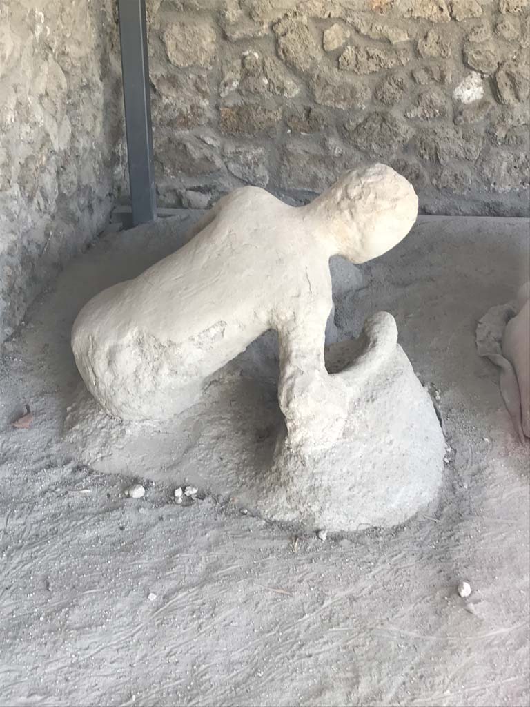 I.21.6 Pompeii. April 2019. Victim 43. Rear view of plaster-cast of body. Photo courtesy of Rick Bauer.
Victim 43 was male aged over 20 years old.
The body was found near the triclinium between the 31st of May and the 7th of June 1961.
Victim 43 was in front of victims 44 and 45, beyond which were victims 46 and 47. 
Maiuri imagined him as the husband of victim 45 and the father of victims 44, 46 and 47.
See Osanna, N., Capurso, A., e Masseroli, S. M., 2021. I Calchi di Pompei da Giuseppe Fiorelli ad oggi: Studi e Ricerche del PAP 46, p. 422-3, Calco n. 43.
