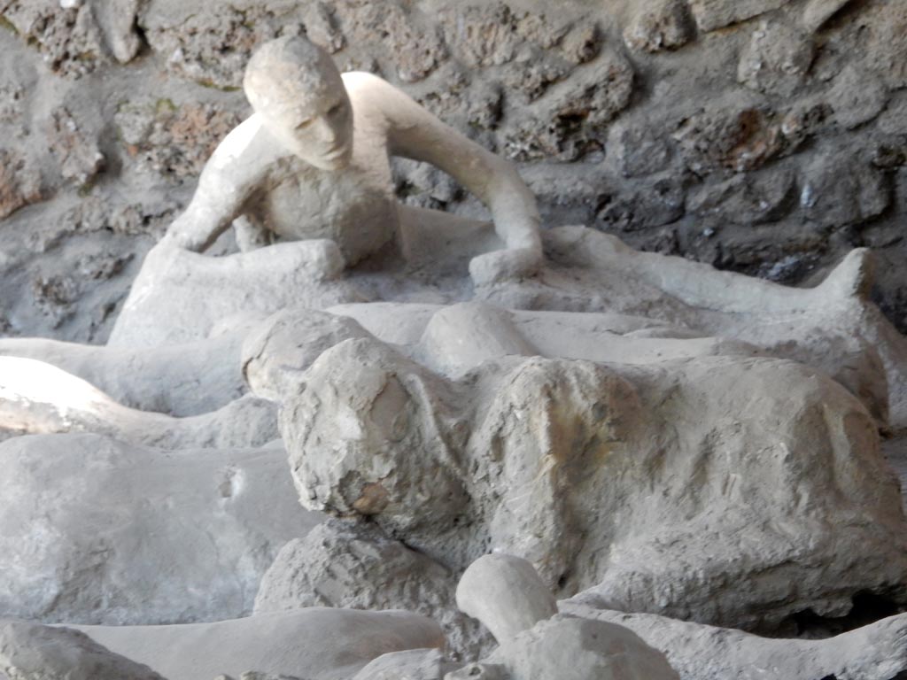 I.21.6 Pompeii. May 2016. Front view of plaster cast of victim 43 at rear. Photo courtesy of Buzz Ferebee.