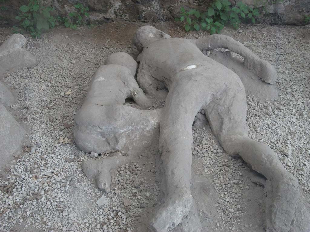 I.21.6 Pompeii. May 2010. Detail of plaster casts of two bodies, victim 44, left and victim 45, right.
Victim 44 was a male aged between 7 and 12 years old.
On the surface of the right side of the body there are traces similar to wavy drapery, but it is likely that these are rather later retouching made to the cast.
Victim 44 was found near the triclinium between the 31st of May and the 7th of June 1961.
Victim 43 was in front of victims 44 and 45, beyond which were victims 46 and 47. 
Maiuri imagined him as the son of the couple who were victims 43 and 45.
See Osanna, N., Capurso, A., e Masseroli, S. M., 2021. I Calchi di Pompei da Giuseppe Fiorelli ad oggi: Studi e Ricerche del PAP 46, p. 424-5, Calco n. 44.
