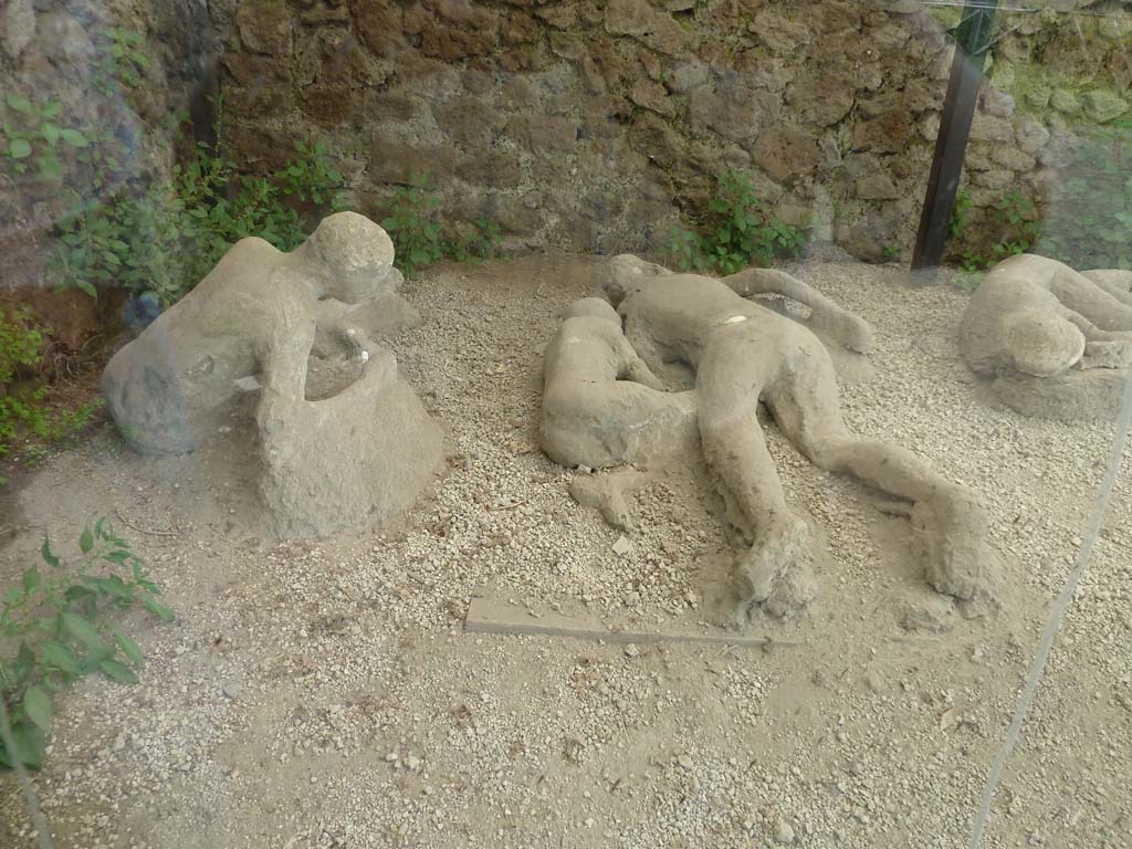 I.21.6 Pompeii. May 2010. Plaster casts of impressions of bodies. Left to right, Victim 43, victim 44 and victim 45.