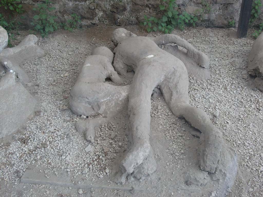 I.21.6 Pompeii. May 2010. Detail of plaster casts of victim 44, left and victim 45, right.