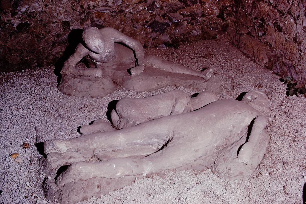 I.21.6 Pompeii. 1974. Detail of plaster casts of impressions of three bodies. Left to right, Victim 43, victim 44 and victim 45. Photo by Stanley A. Jashemski.   
Source: The Wilhelmina and Stanley A. Jashemski archive in the University of Maryland Library, Special Collections (See collection page) and made available under the Creative Commons Attribution-Non-Commercial License v.4. See Licence and use details.
J74f0216

