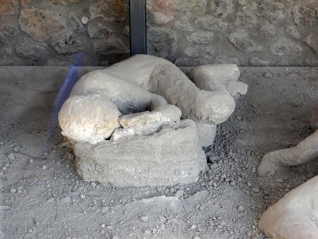 I.21.6 Pompeii. May 2016. Detail of a plaster cast of victim 46. Photo courtesy of Buzz Ferebee.
Victim 46 was a male aged over 20 years.
The body was found near the triclinium between the 31st of May and the 7th of June 1961.
Victim 43 was in front of victims 44 and 45, beyond which were victims 46 and 47. 
Maiuri imagined that he was the  adolescent son of the couple victim 43 and victim 45.
See Osanna, N., Capurso, A., e Masseroli, S. M., 2021. I Calchi di Pompei da Giuseppe Fiorelli ad oggi: Studi e Ricerche del PAP 46, p. 428-9, Calco n. 46.
