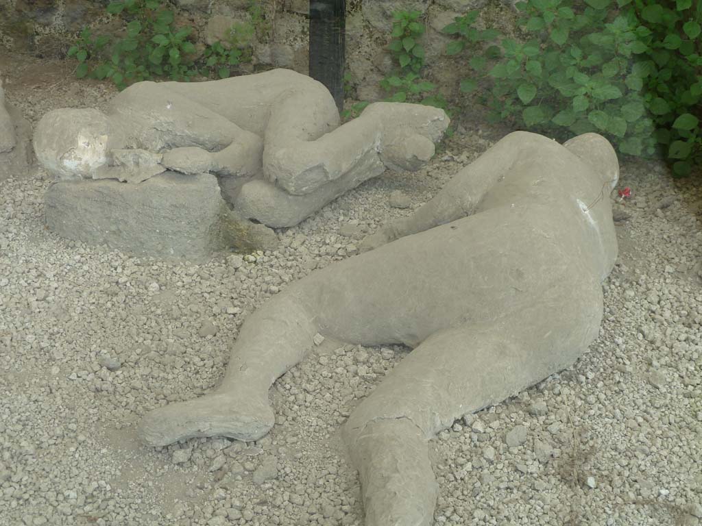 I.21.6 Pompeii. May 2010. Detail of plaster casts of impressions of two bodies, victim 46, left and victim 47, right.
