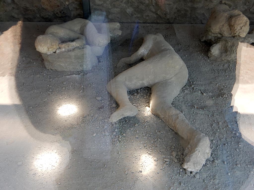 I.21.6 Pompeii. May 2016. Detail of plaster cast of two bodies, victims 46, left and victim 47, right. Photo courtesy of Buzz Ferebee.
