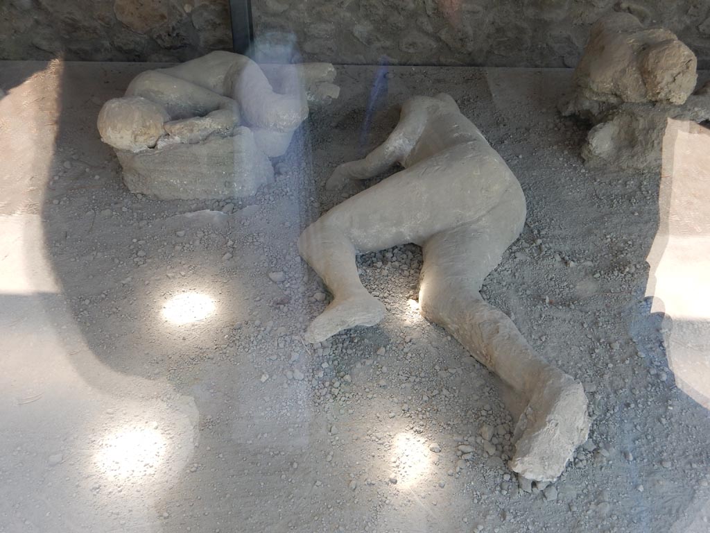 I.21.6 Pompeii. May 2016. Plaster cast of victim 47 (centre). Photo courtesy of Buzz Ferebee.
Victim 47 was a female aged over 20 years.
The body was found near the triclinium between the 31st of May and the 7th of June 1961.
Victim 43 was in front of victims 44 and 45, beyond which were victims 46 and 47. 
Maiuri imagined that he was the twenty year old son of the couple victim 43 and victim 45. Victim 47 is now identified as probably being a female.
See Osanna, N., Capurso, A., e Masseroli, S. M., 2021. I Calchi di Pompei da Giuseppe Fiorelli ad oggi: Studi e Ricerche del PAP 46, p. 430-1, Calco n. 47.
