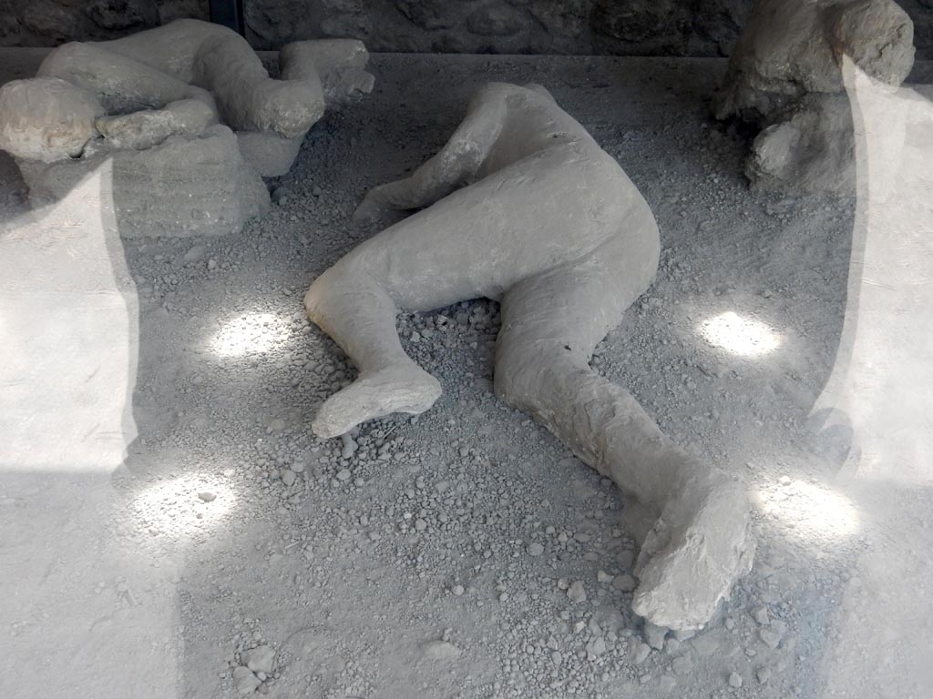 I.21.6 Pompeii. May 2015. Detail of plaster cast of two bodies, victims 47 in centre and victim 46 top left. Photo courtesy of Buzz Ferebee.