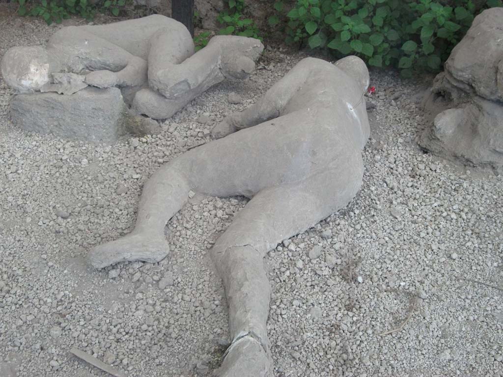 I.21.6 Pompeii. May 2010. Victims 47 centre, with victim 46 top left. Detail of plaster casts of bodies.