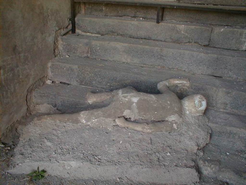 Victim 49. VII.16.17-22 Pompeii. May 2006. Plaster cast of lowest victim lying at foot of staircase.
The right side of the victim is on the first, lowest step of the stairs. 
The left leg, left arm and the head are on the second step and the left hand is on the third step.
Overall, the cast does not provide any anatomical details.
See Osanna, N., Capurso, A., e Masseroli, S. M., 2021. I Calchi di Pompei da Giuseppe Fiorelli ad oggi: Studi e Ricerche del PAP 46, p434-5, Calco n. 49.
