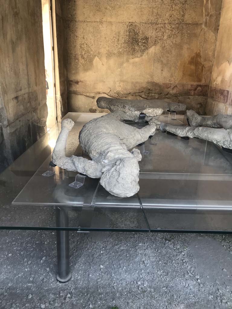 VII.1.47 Pompeii. April 2019. Room 8, looking across plaster-cast of victim 4, towards south-west corner, and west wall. 
Photo courtesy of Rick Bauer.

