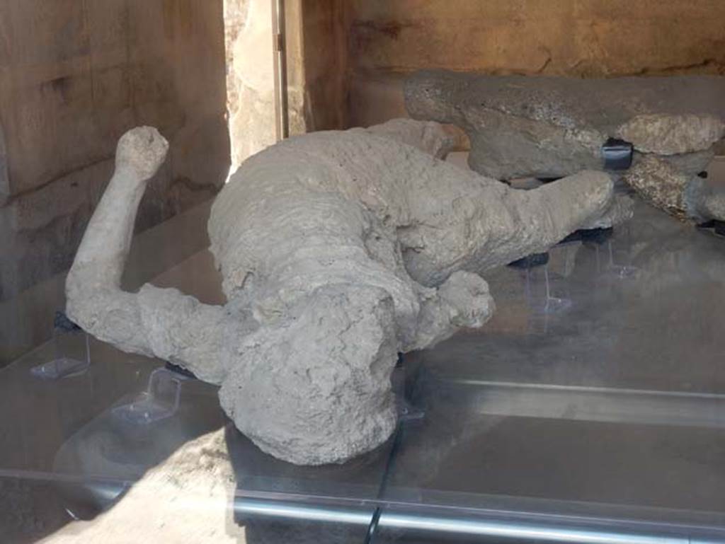 VII.1.47 Pompeii. May 2017.  Plaster-cast of victim 4.
Plaster cast of a female, on display in triclinium 8 but found in the Vicolo degli Scheletri. 
Photo courtesy of Buzz Ferebee.

