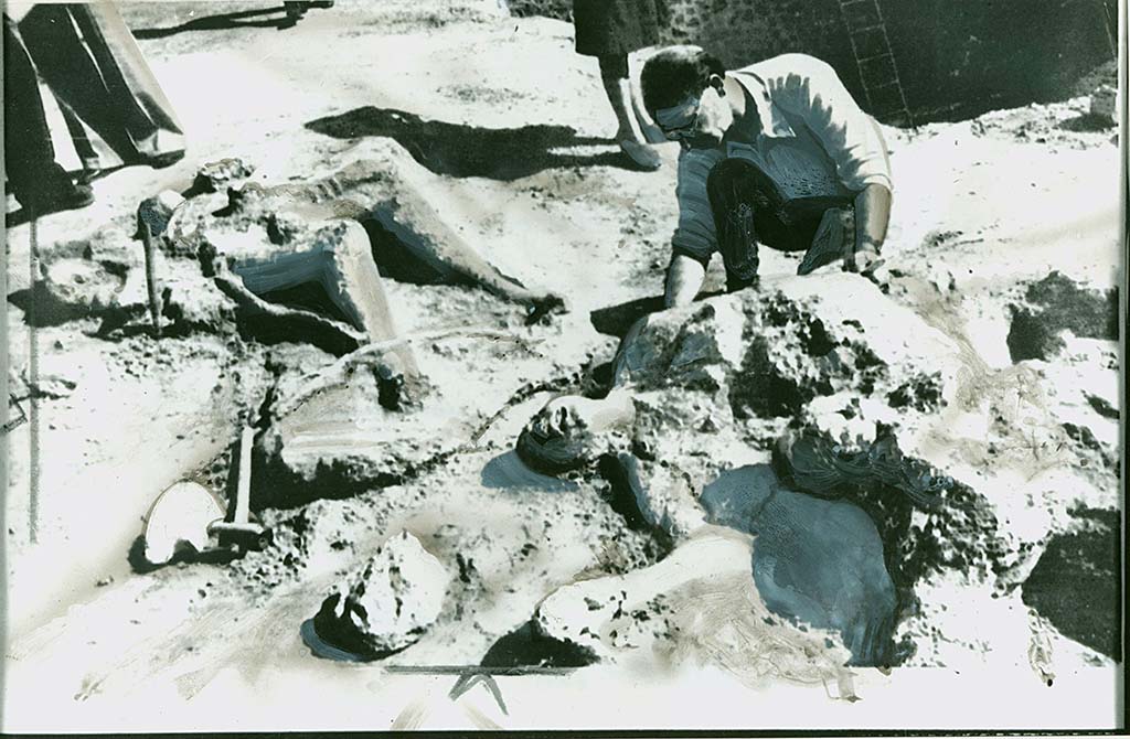 Porta Nola Pompeii. Press photo dated 18th September 1976 of body casts "Discovered this week on the outskirts of Pompeii".
The photo has been touched in in places for publication so it is difficult to be certain but comparing with the plan above could suggest: victim 56 rear to the left? Victim 57 with arm outstretched? Victim 61 on the lower right? Victim number 5 with the sheathed knife, recorded by De Caro, would have been in this group also.
Photo courtesy of Rick Bauer.

Victim 56 is an adult over 20 years of age, but the sex has not been determined.
The body was found between the 2nd of August and 21st September 1976 outside Porta Nola, near the tomb of M. Obellius Firmus.
The drapery of a woollen robe can be recognized on the bust, on the stomach, on both thighs and on the lower part of the right leg. 
On the feet it seems possible to recognize traces of footwear (sandals?) that leave the toes exposed.
See Osanna, N., Capurso, A., e Masseroli, S. M., 2021. I Calchi di Pompei da Giuseppe Fiorelli ad oggi: Studi e Ricerche del PAP 46, p. 452-3, Calco n. 56.


