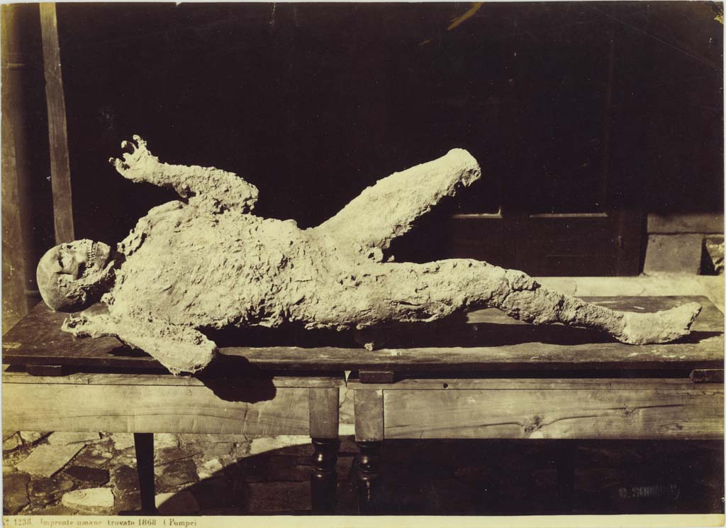 Victim 5. 1868. Photograph by Giorgio Sommer no. 1238. Photo courtesy of Eugene Dwyer.
In his description of this plaster-cast in his Guida di Pompei, 1877, Fiorelli described –
“Man, [no.5], face down, with his hands extended. (Reg. VII. II, 16, but wrongly numbered VII.II.18)”.
See Fiorelli, Guida di Pompei, [Rome, 1877,] p.88-89. 


