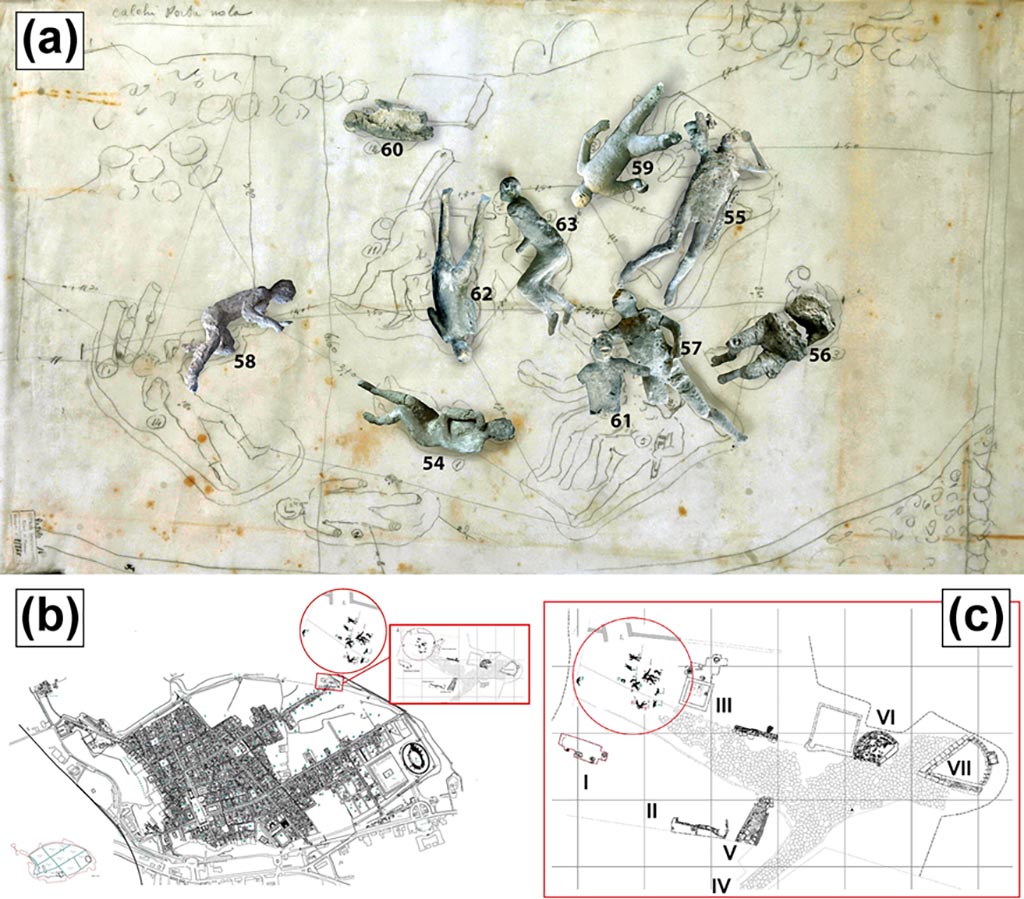 Victim 64. Location of casts from Porta Nola. The location of victim 64, number 15 on the De Caro plan is not shown.
(a) Original position of some of the studied Porta Nola casts (#57, #62, #58, #54, #55). (b) Map of Pompeii. (c) Detail of casts discovery area (I: Burials of Praetorians; II: Modern Masonries; III: Tomb of Obellius Firmus; IV: Porta Nola; V: Leakpan; VI: Tomb of Esquilia Polla; VII: Anonymous Tomb). 
Photo courtesy of The Casts of Pompeii Project. Use subject to CC BY 4.0 Deed 
See Alapont L, Gallello G, Martinón-Torres M, Osanna M, Amoretti V, Chenery S, et al. (2023) The casts of Pompeii: Post-depositional methodological insights. PLoS ONE 18(8): e0289378, Fig 1. https://doi.org/10.1371/journal.pone.0289378 

