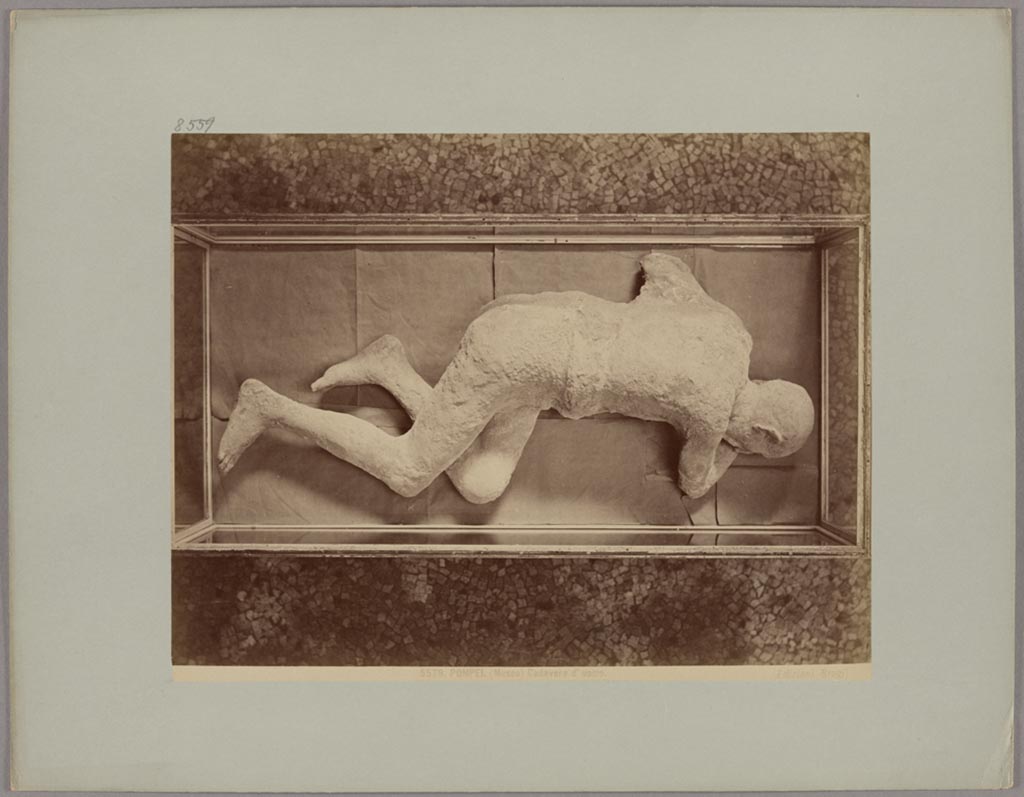 Victim 7, in display case, ca. 1870–1880. Photo Edizioni Brogi: 5579, POMPEI. (Museo) Cadavere d'uomo.
Photo courtesy of Städel Museum, Frankfurt am Main, inventory number St.F.1804.
