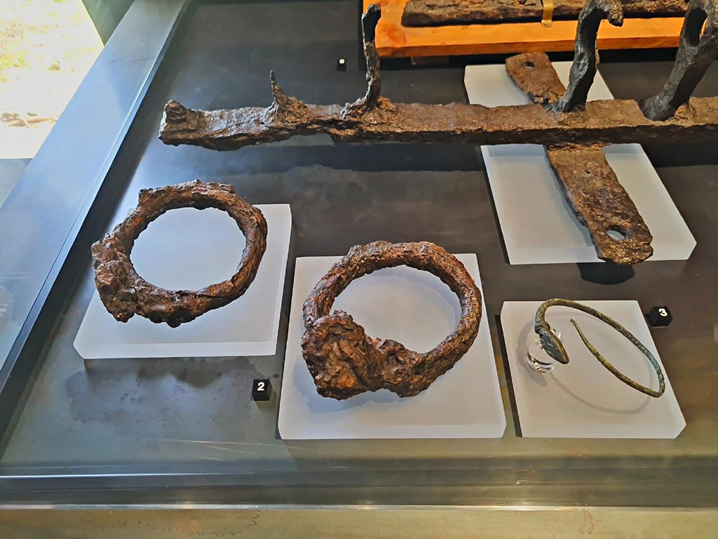 Victim 80. March 2024. Two iron rings were fixed to the victim's ankles, probably shackles (compedes), which suggested his identification with a slave; a bronze armlet was worn on his left forearm; these are shown here. 
Photo courtesy of Giuseppe Ciaramella.
See Osanna, N., Capurso, A., e Masseroli, S. M., 2021. I Calchi di Pompei da Giuseppe Fiorelli ad oggi: Studi e Ricerche del PAP 46, p. 505-6, Calco n. 80.
The two iron rings are referred to in this catalogue, and on the Palaestra 2024 exhibition display card, as being found on victim 80, whereas they are usually displayed on victim 81, but are not mentioned in the catalogue for that victim.
See Osanna, N., Capurso, A., e Masseroli, S. M., 2021. I Calchi di Pompei da Giuseppe Fiorelli ad oggi: Studi e Ricerche del PAP 46, p. 507-8, Calco n. 81.

