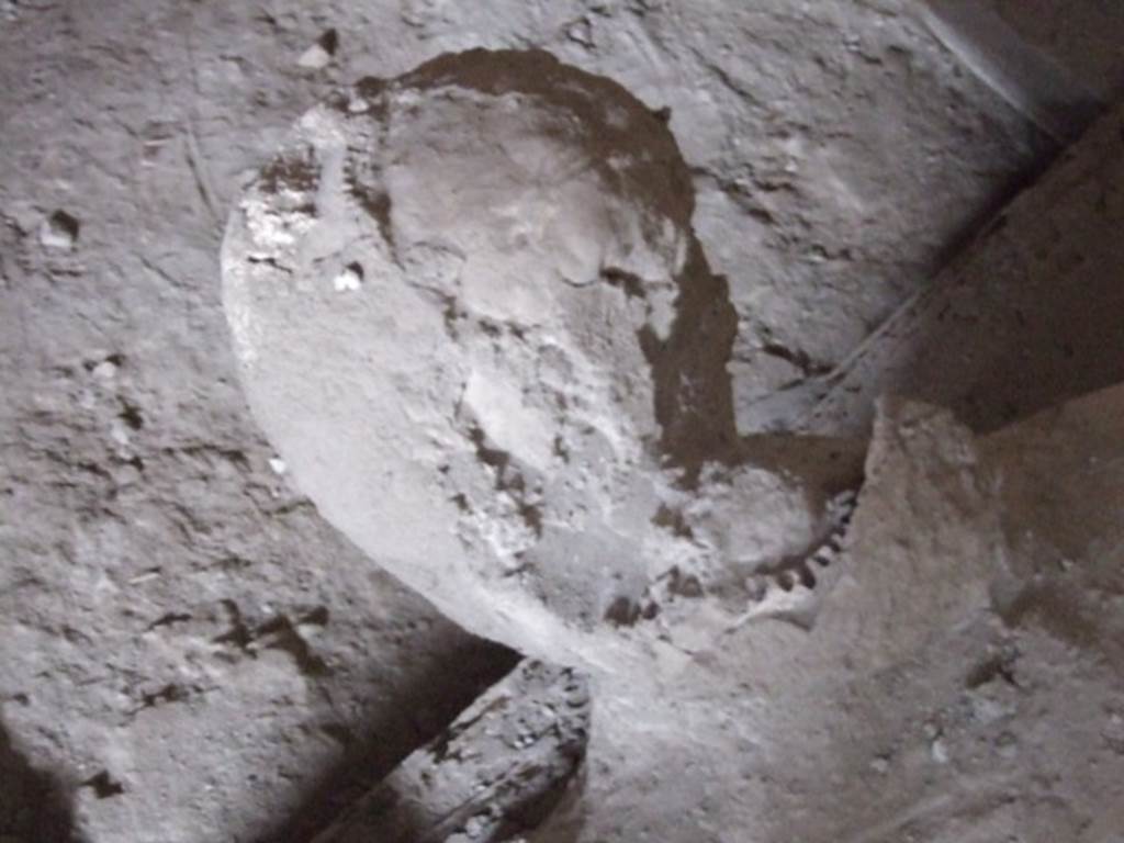 I.8.17 Pompeii. December 2007. Room 10, plaster cast of head of victim 84.