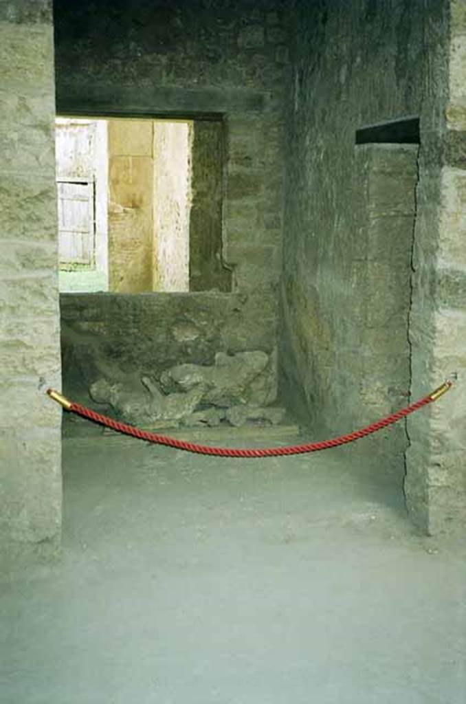 I.8.17 Pompeii. June 2010. Looking into room 10 doorway with victims 84 and 85 inside. Photo courtesy of Rick Bauer.

