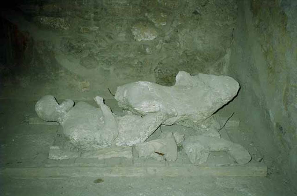 I.8.17 Pompeii. June 2010. Room 10, plaster casts of victim 85 (rear right) and victim 84 (front). Looking east. Photo courtesy of Rick Bauer.
Victim 85 is probably a male, aged over 20 years.
The date and place of discovery is unknown.
The right leg seems to still be attached to the body and part of the head can be seen.
Two hypotheses are put forward:
1.	It is possible it may come from I.21.2/6, the Orto dei Fuggiaschi, recorded in the excavation diary on the 10th of April 1961.
2.	It may be a cast made in 1902 during the excavation of the taberna V.3.2. Three casts were made, and all were recorded as unsuccessful (malriusciti).
This could be the second of the casts recorded in 1902 as being only a portion of the trunk .
See Osanna, N., Capurso, A., e Masseroli, S. M., 2021. I Calchi di Pompei da Giuseppe Fiorelli ad oggi: Studi e Ricerche del PAP 46, pp. 515-6, Calco n. 85.
Paribeni in NdS 1902, records: In fact, on the following 10th June only the cast of an arm with the upper part of the chest and the head emerged from a skeleton; of another, a portion of the trunk, and of a third, the almost complete cast. All these casts, however, due to the void being occupied in many places by lapilli, were very unclear and such that no value could be attributed to them.
See Notizie degli Scavi di Antichità, 1902, p. 379.

