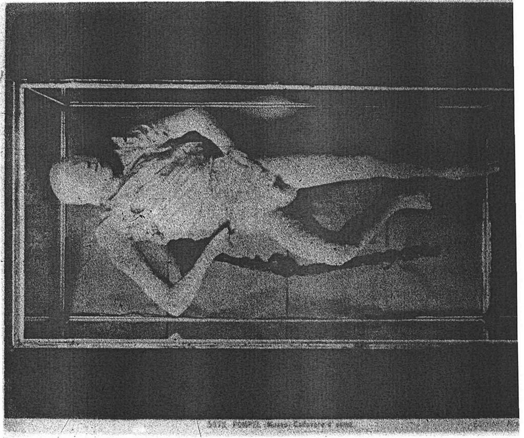 Victim 9, photographed by G. Sommer, no. 5371, in a display case in the museum. Photo courtesy of Eugene Dwyer.