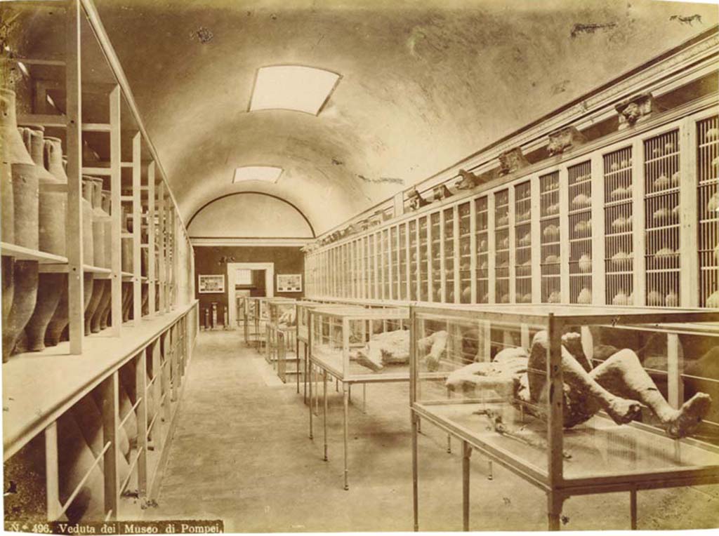 Victim 9, photographed in first display case, on the right. Interior of Pompeii Museum before 1889, (Room II). Photo: Edizioni Brogi no. 496.
Photo courtesy of Eugene Dwyer.

