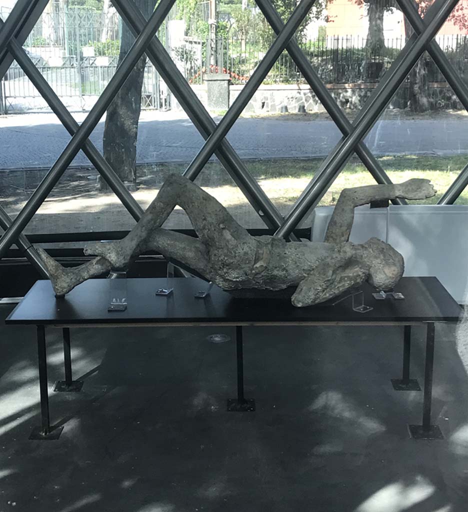 Victim 79. April 2019. Cast on display at Pompeii in the display area near the amphitheatre entrance. Photo courtesy of Rick Bauer.
Victim 79 is probably a male aged over 20 years old.
The location and date of its find are not known.
The PAP Archive photographs D 372 and D 576 do not have any information or context recorded.
The body was laying on its left side when found.
There are drapery folds around the waist and traces on the torso.
See Osanna, N., Capurso, A., e Masseroli, S. M., 2021. I Calchi di Pompei da Giuseppe Fiorelli ad oggi: Studi e Ricerche del PAP 46, p. 502-4, Calco n. 79.

