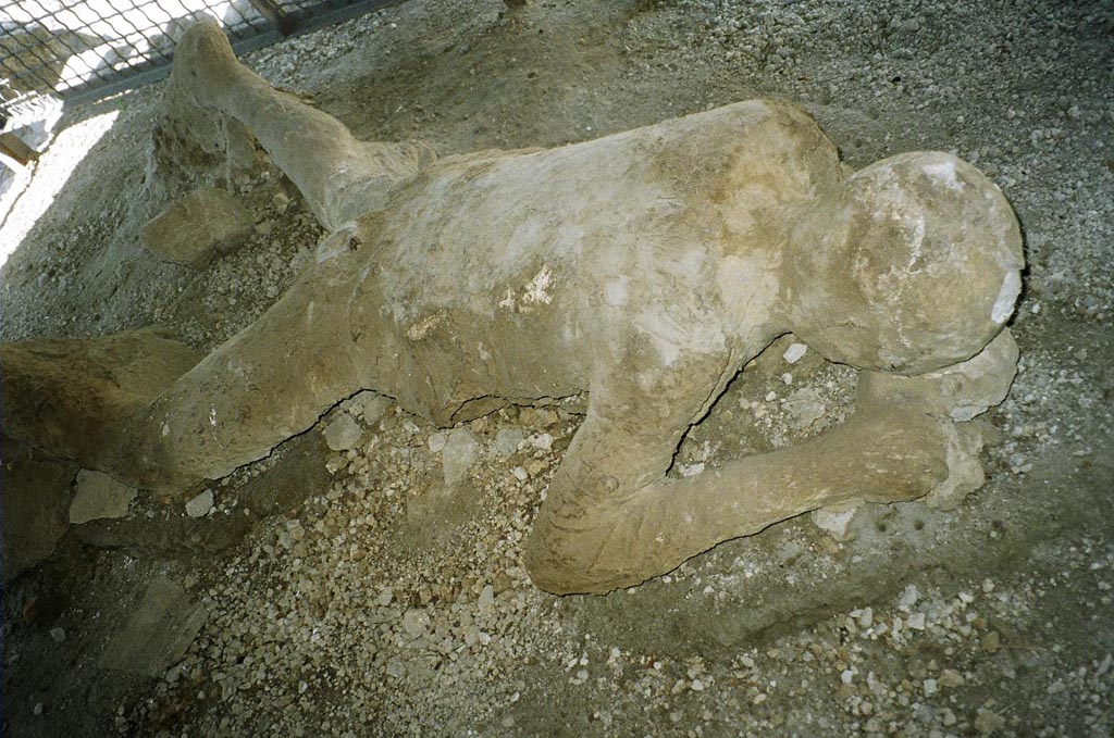 Victim 30. Pompeii, outside Porta Nocera. July 2010. Plaster cast of a fleeing victim found in September 1956. 
A press photo dated 10th September 1956, in Rick’s collection, identifies this cast as one from Porta Nocera. 
Photo courtesy of Rick Bauer. 
