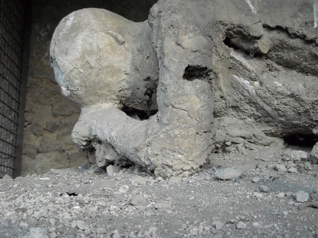 Victim 30. Pompeii, outside Porta Nocera. Head and shoulders of plaster cast of a fleeing victim found in September 1956. 
