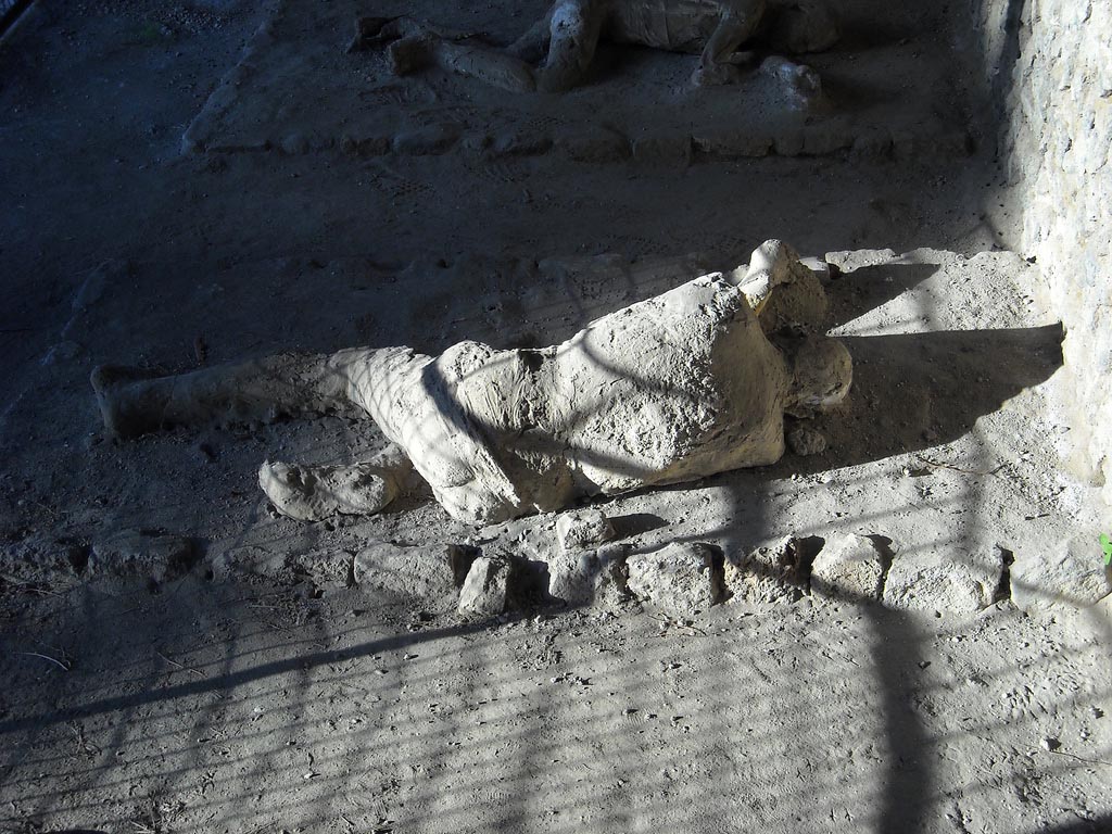 Victim 32. Pompeii, outside Porta Nocera.
Rear view of plaster cast of remains of a third fleeing victim found 16th March 1957. 
