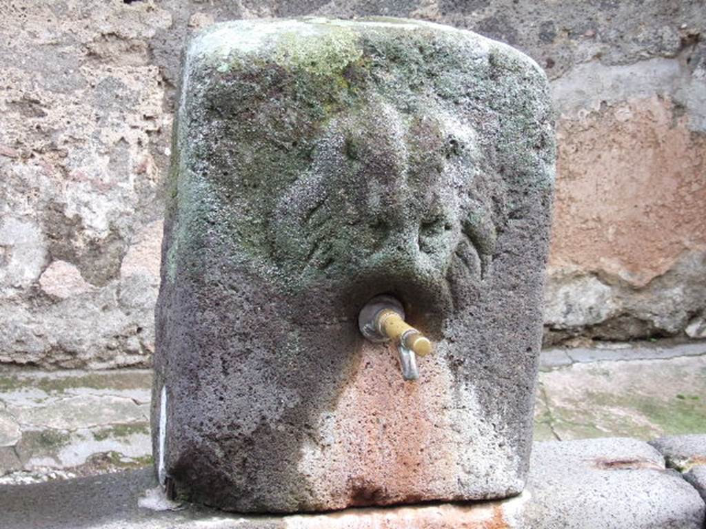 Fountain outside VI.16.28 on Vicolo dei Vettii. December 2005. 
According to Eschebach this is a relief of Oceanus or of a lion-griffin.
See Eschebach H. Die ffentlichen Laufbrunnen Pompejis: Pompeii Herculaneum Stabiae. Amici di Pompei, I, 1983, p. 13.
