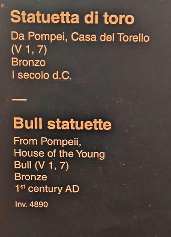 V.1.7 Pompeii, October 2023. Description card for bull, inv. 4890. Photo courtesy of Giuseppe Ciaramella. 