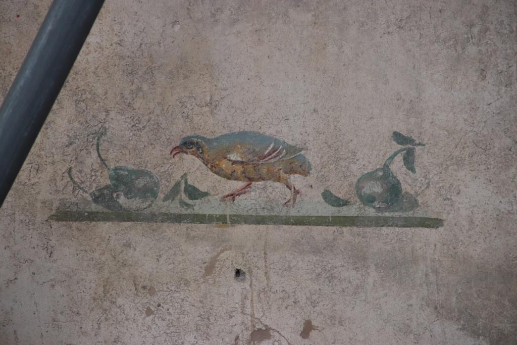 V.7.6 Pompeii. October 2023. Detail of central painted panel on east wall, bird pecking at fruit. Photo courtesy of Klaus Heese. 