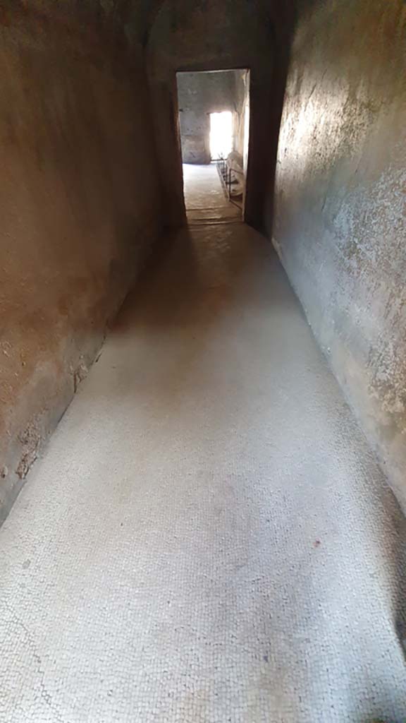 VII.5.24 Pompeii. August 2021. Entrance corridor (13), detail of flooring. 
Foto Annette Haug, ERC Grant 681269 DÉCOR.
