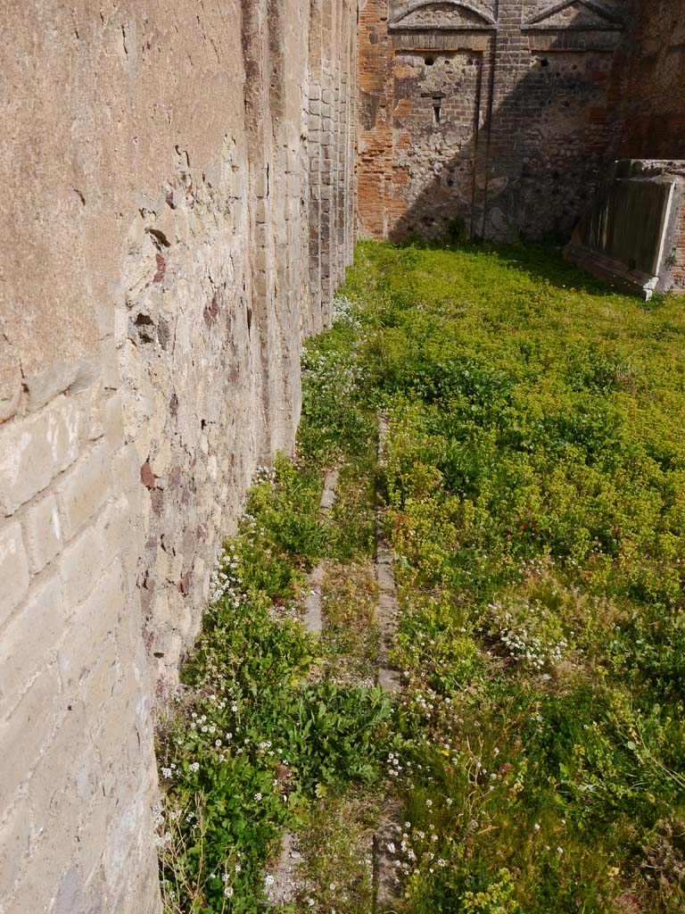 VII.9.2 Pompeii. March 2019. Looking east along north wall to north-east corner. 
Foto Anne Kleineberg, ERC Grant 681269 DÉCOR.
