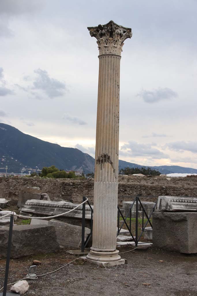 VIII.1.3 Pompeii. October 2020. Looking south-west towards column with Corinthian capital.
Photo courtesy of Klaus Heese.
